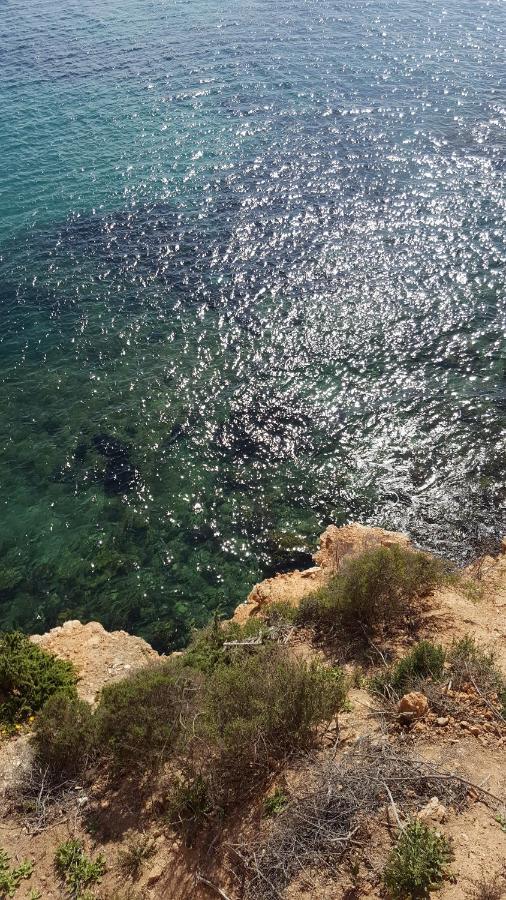 Marinamed Residential Villa Sea View Dehesa de Campoamor  외부 사진